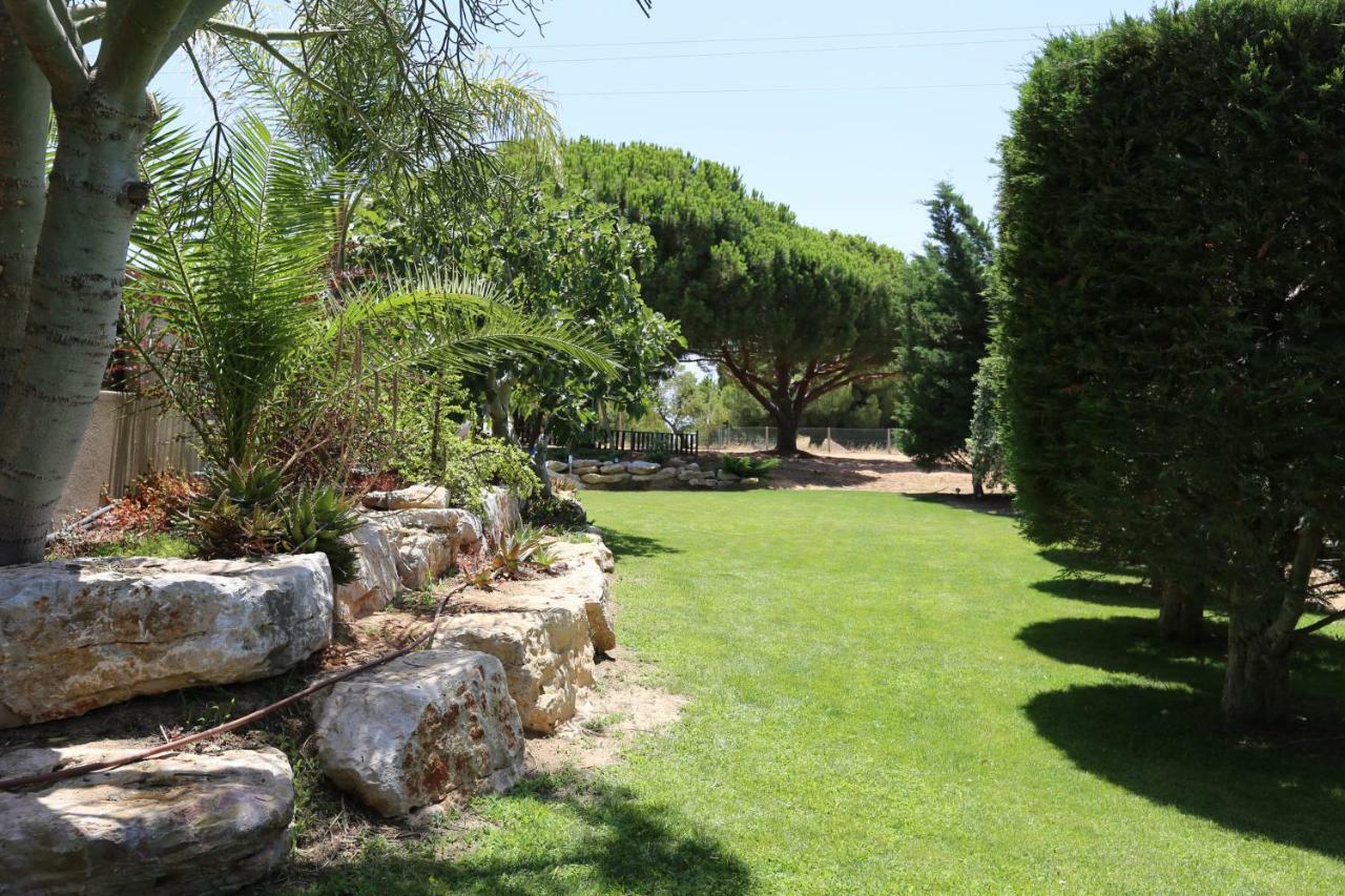 Quinta Do Pinheiro Manso - Holidays Villa - Marinha Beach Carvoeiro  Dış mekan fotoğraf