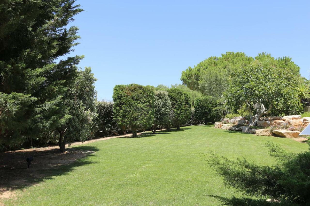 Quinta Do Pinheiro Manso - Holidays Villa - Marinha Beach Carvoeiro  Dış mekan fotoğraf
