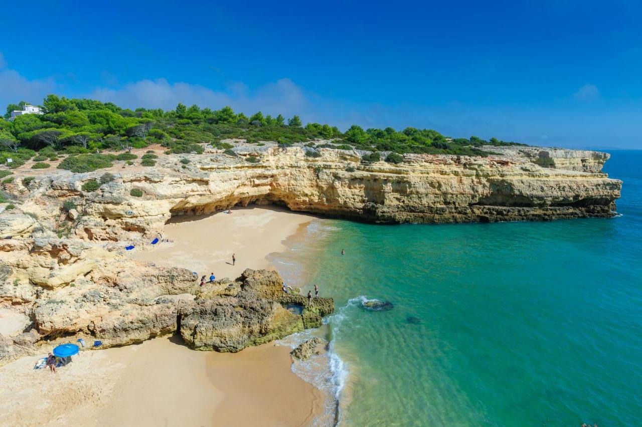 Quinta Do Pinheiro Manso - Holidays Villa - Marinha Beach Carvoeiro  Dış mekan fotoğraf